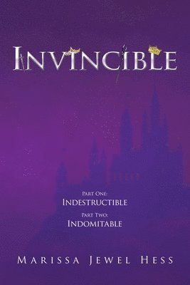 bokomslag Invincible