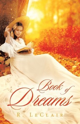 bokomslag Book of Dreams