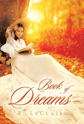 bokomslag Book of Dreams