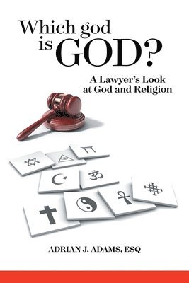 bokomslag Which god is God?: A Lawyer's Look at God and Religion