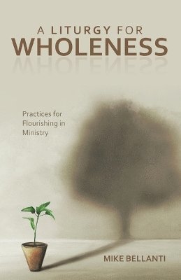 bokomslag A Liturgy for Wholeness