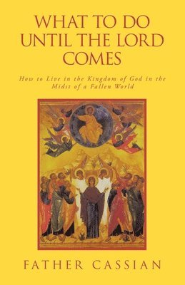 bokomslag What to Do until the Lord Comes: How to Live in the Kingdom of God in the Midst of a Fallen World