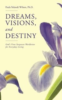 bokomslag Dreams, Visions, and Destiny