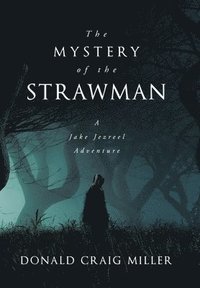 bokomslag The Mystery of the Strawman