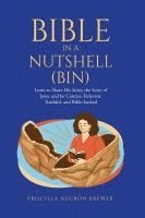 bokomslag Bible in a Nutshell (BIN)