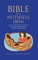 bokomslag Bible in a Nutshell (BIN)