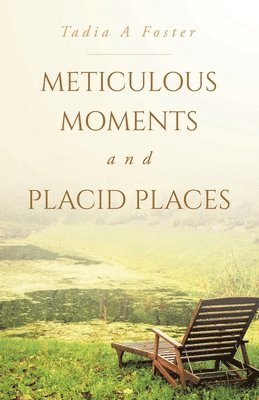 Meticulous Moments and Placid Places 1