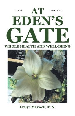 bokomslag At Eden's Gate