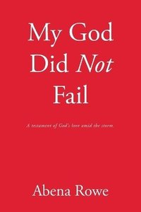 bokomslag My God Did Not Fail: A testament of God's love amid the storm.