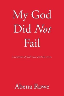 My God Did Not Fail: A testament of God's love amid the storm. 1