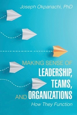 Making Sense of Leadership, Teams, and Organizations