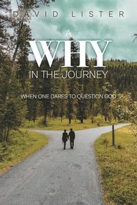 bokomslag Why in the Journey