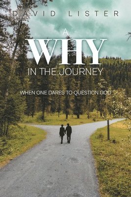 bokomslag Why in the Journey