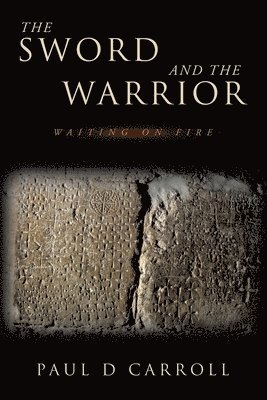 bokomslag Sword and the Warrior
