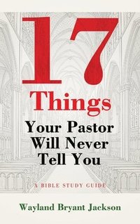 bokomslag 17 Things Your Pastor Will Never Tell You