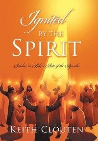 bokomslag Ignited by the Spirit