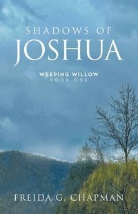 bokomslag Shadows of Joshua