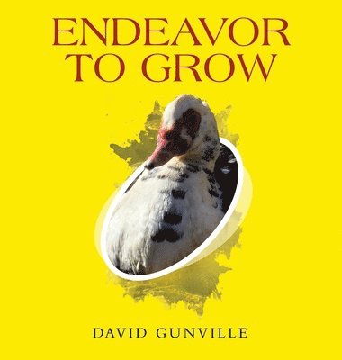 bokomslag Endeavor to Grow