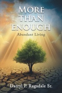 bokomslag More Than Enough: Abundant Living