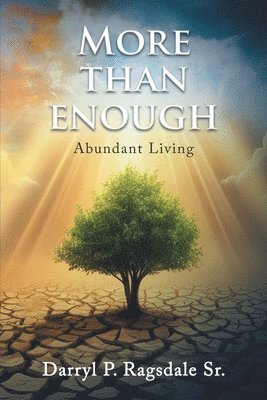 bokomslag More Than Enough: Abundant Living