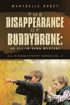 Disappearance of BuddyDrone