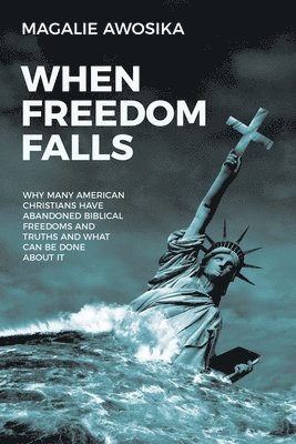 bokomslag When Freedom Falls: Why Many American Christians Have Abandoned Biblical Freedoms and Truths and What Can Be Done About It