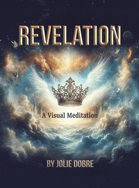 bokomslag Revelation A Visual Meditation
