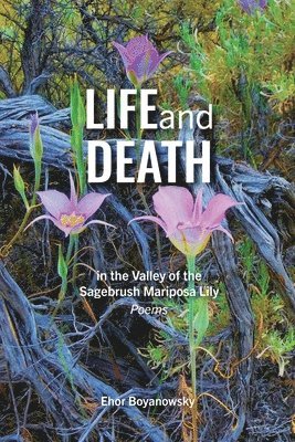 Life and Death in the Valley of the Sagebrush Mariposa Lily 1