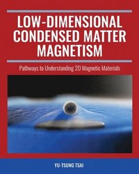 bokomslag Low-Dimensional Condensed Matter Magnetism: Pathways to Understanding 2D Magnetic Materials