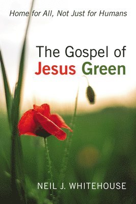 bokomslag The Gospel of Jesus Green