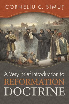 bokomslag A Very Brief Introduction to Reformation Doctrine