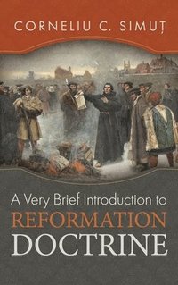 bokomslag A Very Brief Introduction to Reformation Doctrine