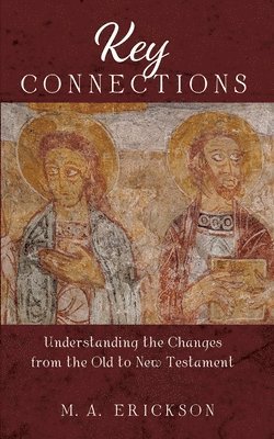 bokomslag Key Connections