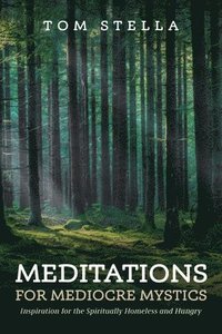 bokomslag Meditations for Mediocre Mystics