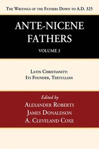 bokomslag Ante-Nicene Fathers: Translations of the Writings of the Fathers Down to A.D. 325, Volume 3