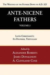 bokomslag Ante-Nicene Fathers: Translations of the Writings of the Fathers Down to A.D. 325, Volume 3