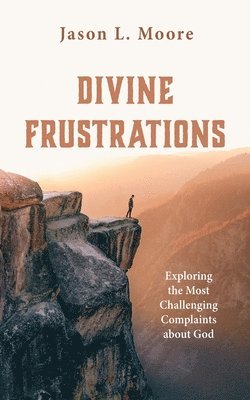 bokomslag Divine Frustrations