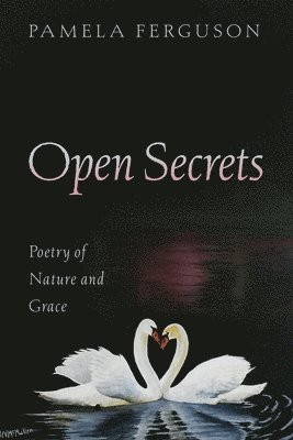 Open Secrets 1