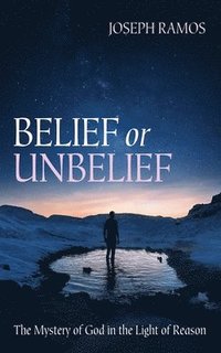 bokomslag Belief or Unbelief