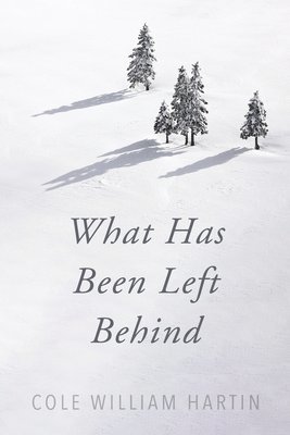 What Has Been Left Behind 1