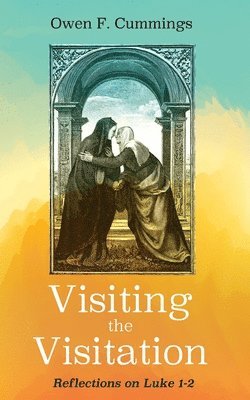 bokomslag Visiting the Visitation