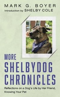 bokomslag More Shelbydog Chronicles