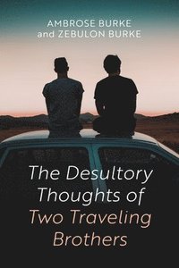 bokomslag The Desultory Thoughts of Two Traveling Brothers