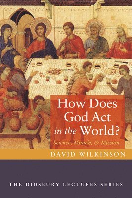 David Wilkinson - How Does God ACT in the World?, Häftad