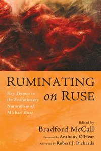 bokomslag Ruminating on Ruse