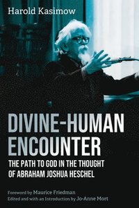 bokomslag Divine-Human Encounter