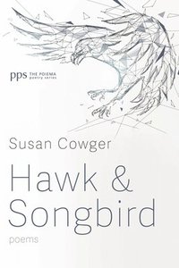 bokomslag Hawk and Songbird