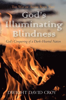 God's Illuminating Blindness 1