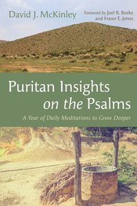 bokomslag Puritan Insights on the Psalms: A Year of Daily Meditations to Grow Deeper
