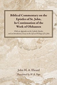 bokomslag Biblical Commentary on the Epistles of St. John, In Continuation of the Work of Olshausen